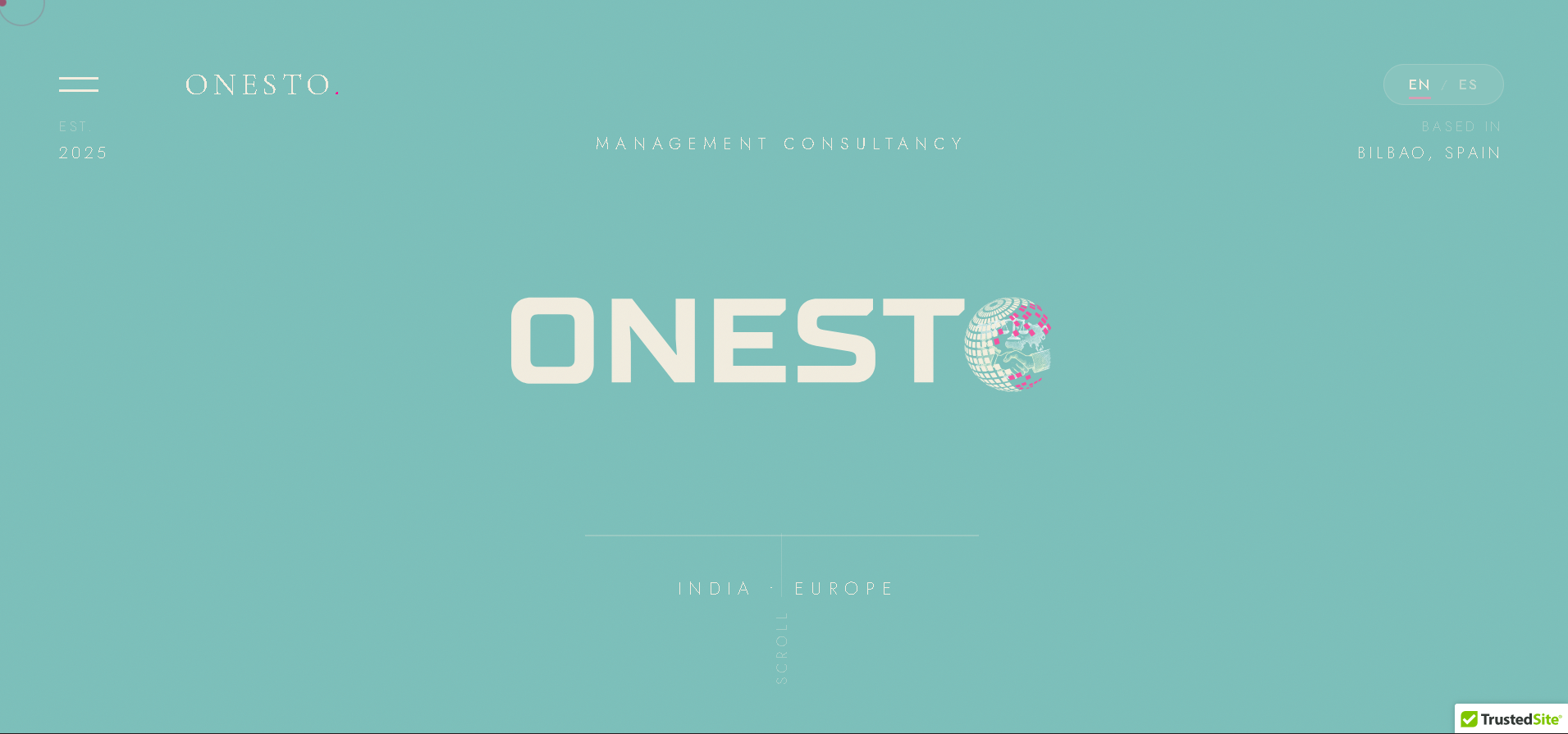 Onesto Consultancy preview